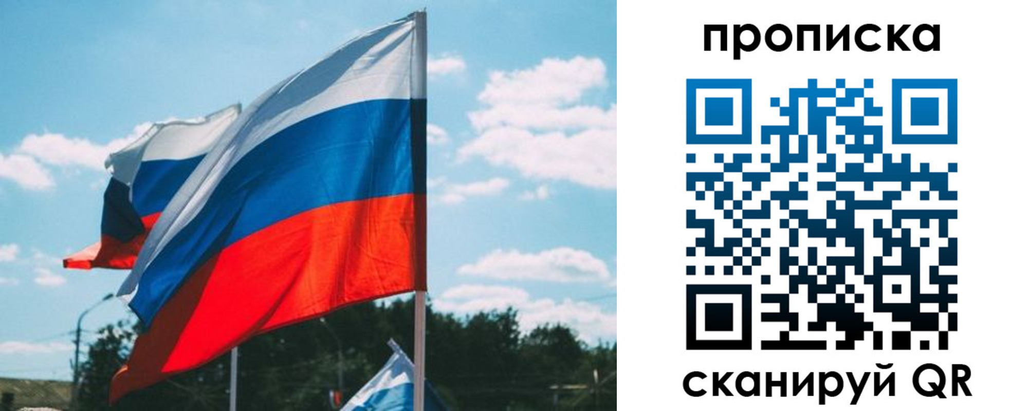 прописка поиск в Елизово
